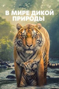 В мире дикой природы